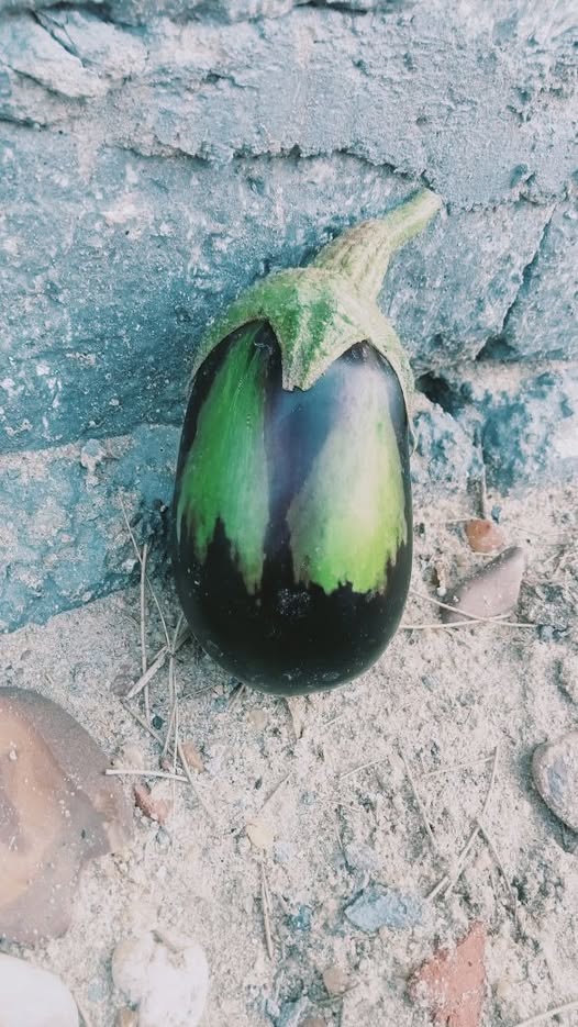 ممكن العلاج وايه السبب ؟؟لو سمحتم